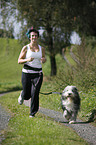 Jogger mit Bearded Collie