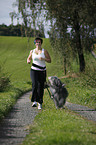 Jogger mit Bearded Collie