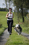 Jogger mit Bearded Collie