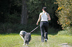 Jogger mit Bearded Collie