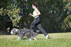 Jogger mit Bearded Collie