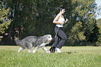 Jogger mit Bearded Collie