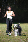 Jogger mit Bearded Collie