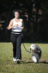 Jogger mit Bearded Collie