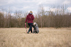 Frau geht mit Bearded Collie spazieren