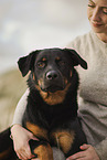 Frau mit Beauceron