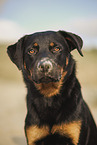 Frau mit Beauceron