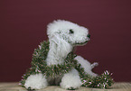 liegender Bedlington Terrier