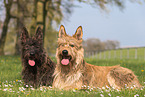 2 Berger Picard