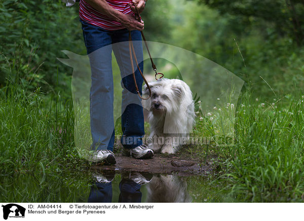 Mensch und Berger de Pyrenees / human and Pyrenean Sheepdog / AM-04414