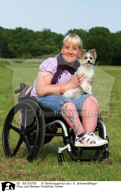 Frau und Biewer Yorkshire Terrier / SS-33750