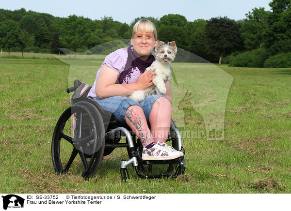 Frau und Biewer Yorkshire Terrier / woman and Biewer Yorkshire Terrier / SS-33752