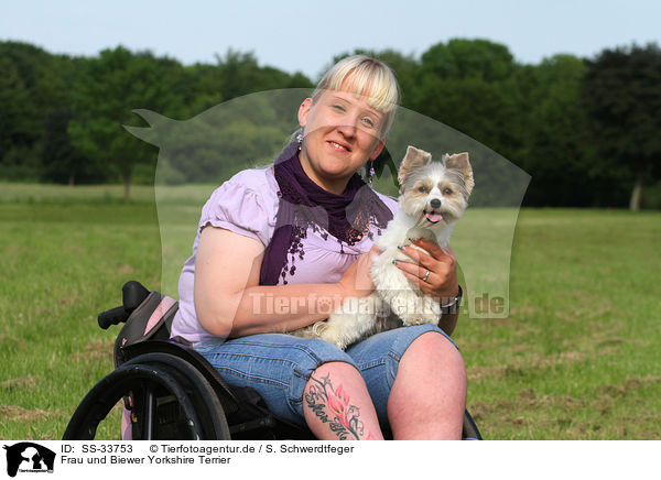 Frau und Biewer Yorkshire Terrier / woman and Biewer Yorkshire Terrier / SS-33753