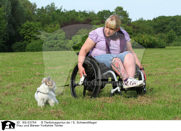 Frau und Biewer Yorkshire Terrier / woman and Biewer Yorkshire Terrier / SS-33754