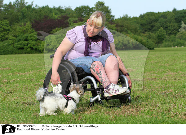 Frau und Biewer Yorkshire Terrier / woman and Biewer Yorkshire Terrier / SS-33755