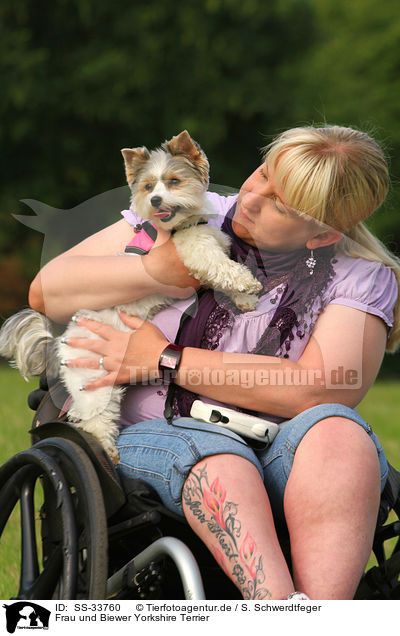 Frau und Biewer Yorkshire Terrier / SS-33760