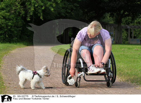 Frau und Biewer Yorkshire Terrier / SS-33775