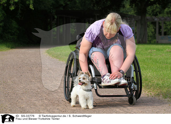 Frau und Biewer Yorkshire Terrier / woman and Biewer Yorkshire Terrier / SS-33776