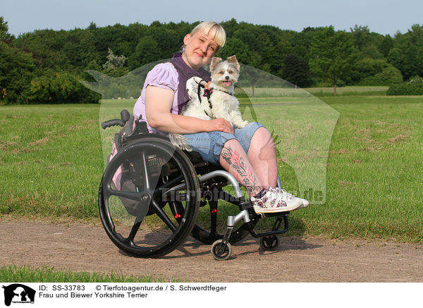 Frau und Biewer Yorkshire Terrier / woman and Biewer Yorkshire Terrier / SS-33783