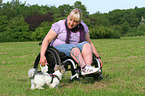 Frau und Biewer Yorkshire Terrier