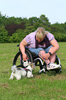 Frau und Biewer Yorkshire Terrier