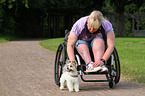 Frau und Biewer Yorkshire Terrier