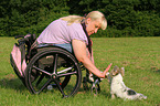 Frau und Biewer Yorkshire Terrier