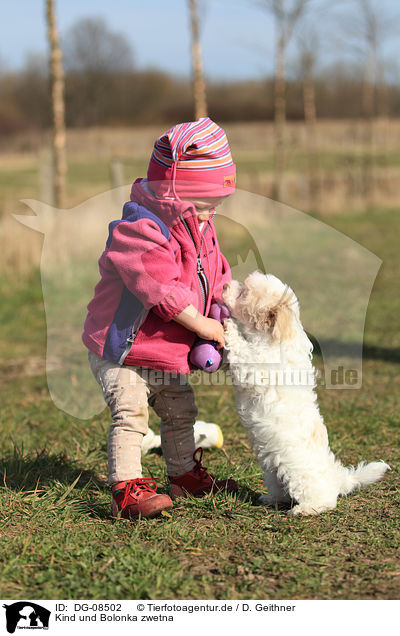 Kind und Bolonka zwetna / child and Bolonka zwetna / DG-08502