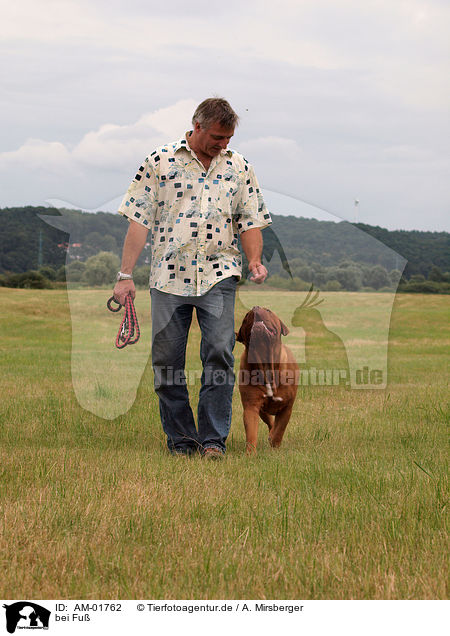 bei Fu / go walking / AM-01762