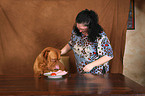 Bordeauxdogge beim Essen