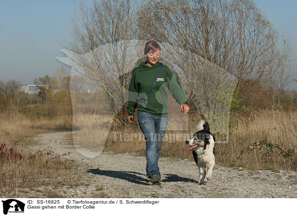 Gassi gehen mit Border Collie / walk the dog / SS-16825