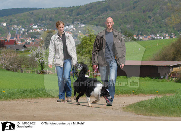 Gassi gehen / walk the dog / MR-01021