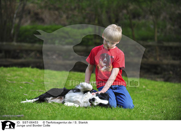 Junge und Border Collie / SST-06453