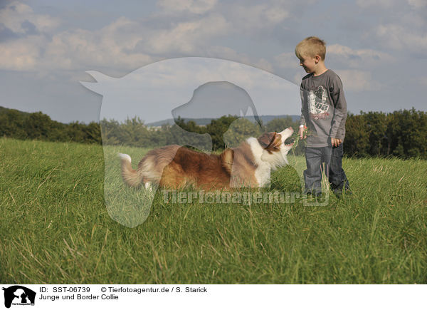 Junge und Border Collie / SST-06739
