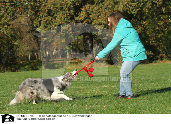 Frau und Border Collie spielen / woman and Border Collie are playing / SS-39799