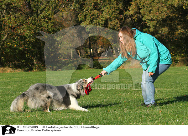 Frau und Border Collie spielen / woman and Border Collie are playing / SS-39803
