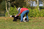 spielen mit Border Collie