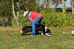 spielen mit Border Collie