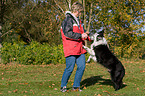 spielen mit Border Collie