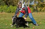 spielen mit Border Collie