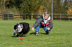 spielen mit Border Collie