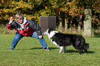 spielen mit Border Collie