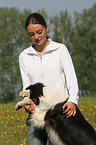 Border Collie zeigt schm dich