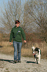 Gassi gehen mit Border Collie