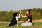 Border Collie zeigt Trick