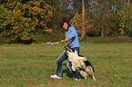 Frau spielt mit Border Collie