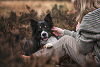 Border Collie Rde