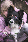 Border Collie Rde