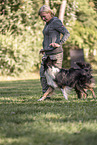 Border Collie Rde