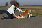 Border Collie